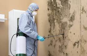 Best Industrial Mold Remediation  in Heritage Pines, FL